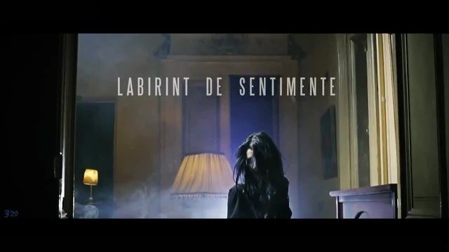 Narcotic Sound and Christian D - Labirint de sentimente + Превод