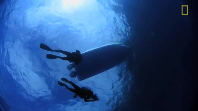 Подводен свят !Напълно друг свят под дивите острови на Чили