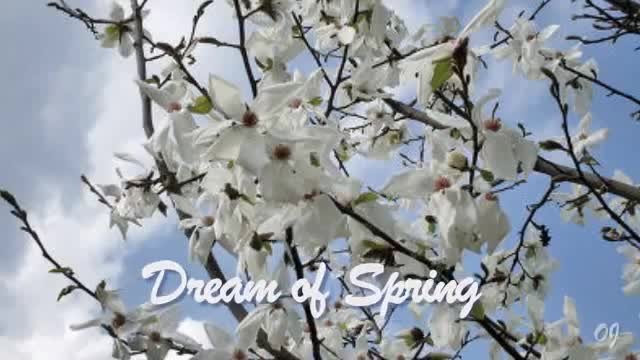 Честита Първа Пролет! Dream of Spring ( Relaxing music )