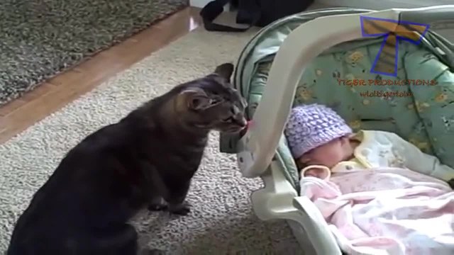 Котки и кучета, които виждат бебета за първи път - Забавна Компилация
