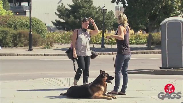 Куче захапва полицай там където не трябва - Скрита камера