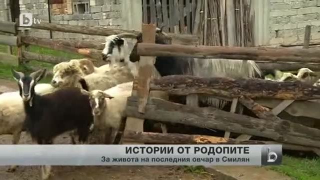 Последният овчар в село Смилян - Това е България!
