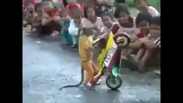 Маймуна кара мотоциклет