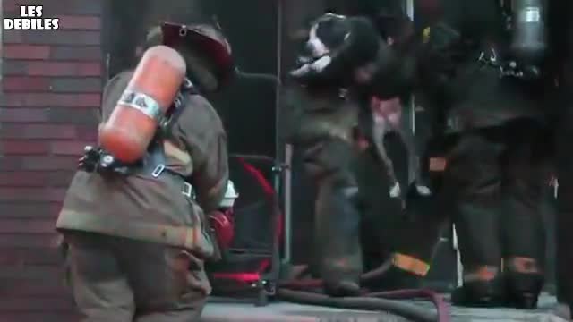 Пожарникар спасява кучета от горяща къща
