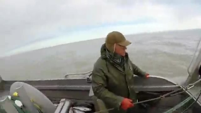 Рибар хвърля обратно във морето бебе тюленче уловило се в рибарските мрежи!