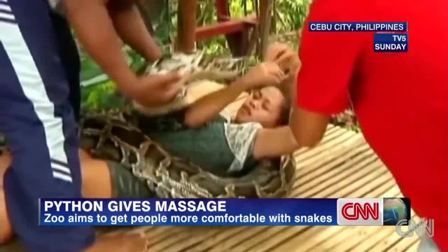 Питони правят масаж - най-новата атракция във Филипините