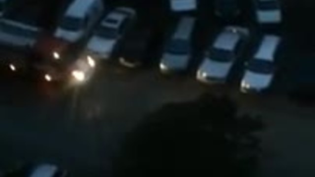 Ексклузивно! / 24.06.2014 - Ураганен вятър в Пловдив повали дърво върху кола!(Wishmaster's video)