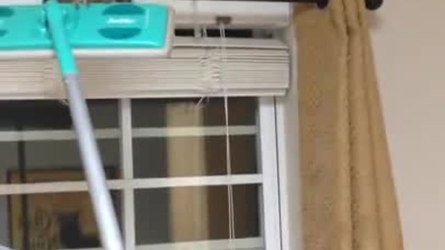 Мъж се опитва да изкара бухал от къщата си