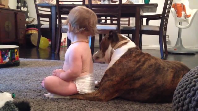 Куче масажира бебе