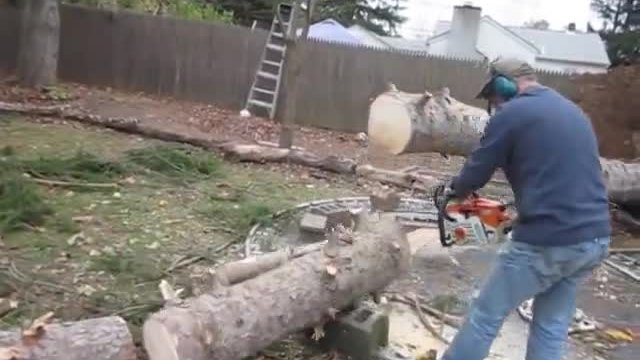 Човек си реже дърво в задния двор и изведнъж се случва чудо!