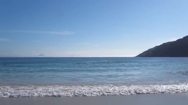 Хора спасяват делфини заседнали в пясъците на брега