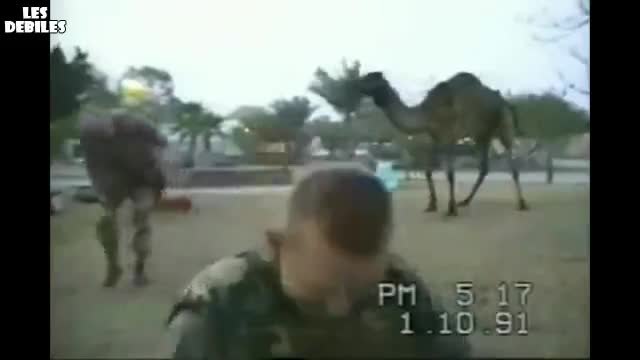 Войник срещу камила