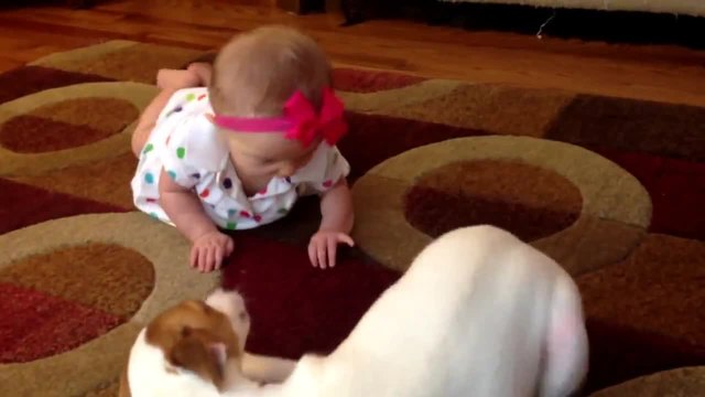 Куче учи бебе да пълзи
