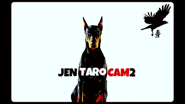 Jentaro - Сам 2