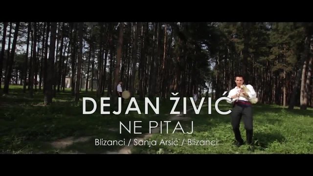 DEJAN ZIVIC - NE PITAJ ( Official Music HD Video 2014 )
