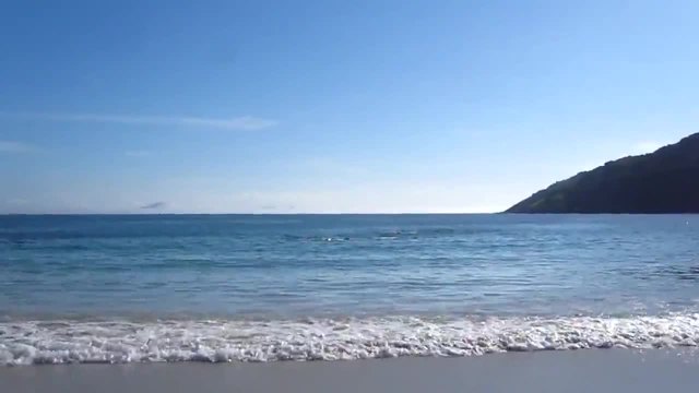 Спасяване на 30 делфина изплували на брега