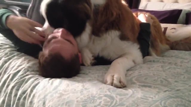 Стопанин прави отчаяни опити да се измъкне от тежката прегръдка на кучето си ,смях