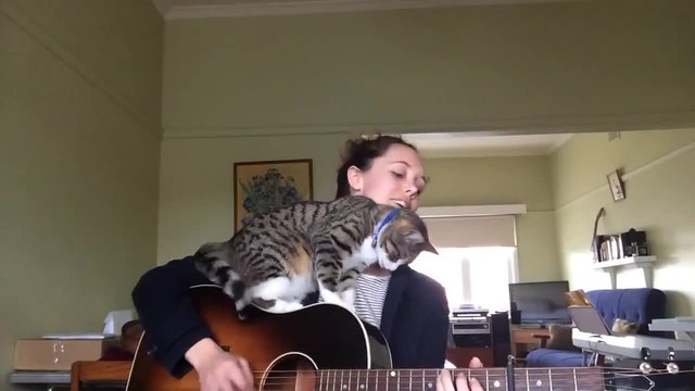 Момиче свири на китара , а коте и се гушка
