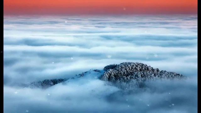 Еделвайс в планините на България...(music Andre Rieu)...(с великолепните снимки на Мая Къркаличева и  Евгени Динев) ...