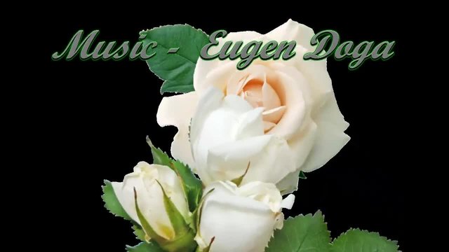 Бели рози за теб! ... (music Eugen Doga) ... ...