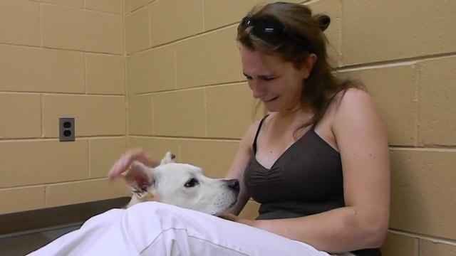 Докосващо сърцето видео ! Жена тежко преживява загубата на своето любимо куче !