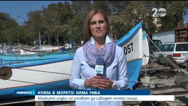 Криза и в морето 2014 – няма риба в Черно Море