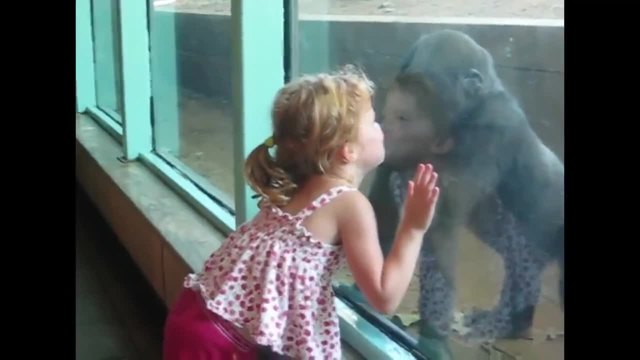 Компилация - деца и животни в зоопарка