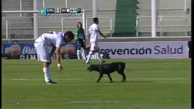 Куче влиза на терена по време на футболен мач за да погалят!