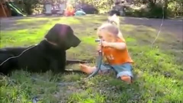 Сладко момиче и кучето й се забавляват с градинския маркуч