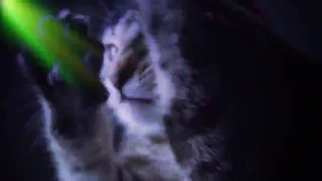 Meow Mix - Котешки микс