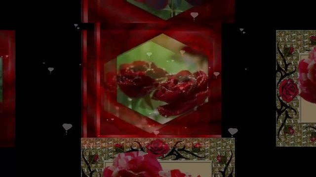 RED ROSES ... Music by Armik ...