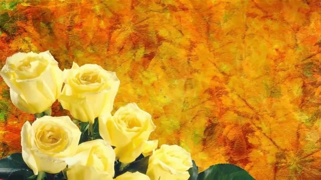 Yellow Roses... ...(music Michel Pepe)... ...