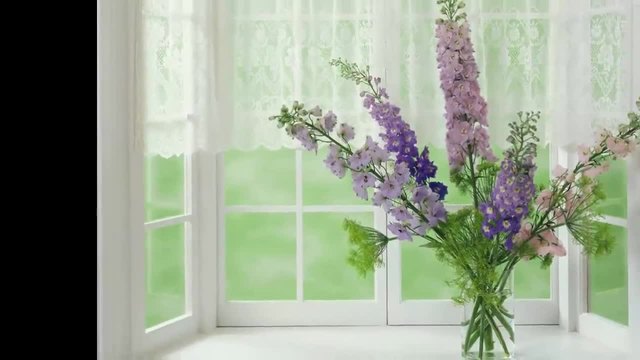Душата на цветята расте на прозореца...(music Ernesto Cortazar)... ...