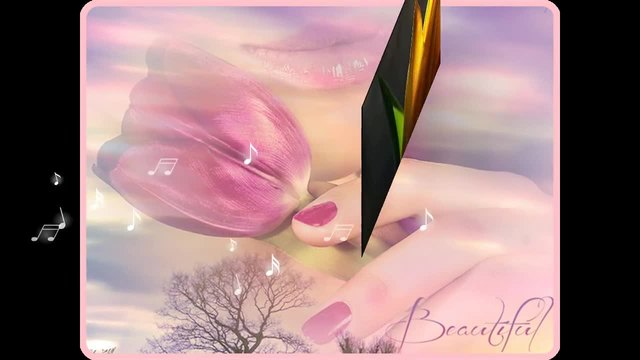 Пролетни лалета за всички Вас!... ...(music Fariborz Lachini)... ...