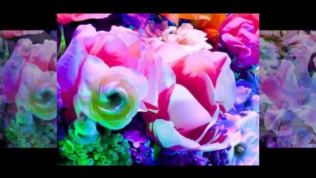 Torkil Gudnason - Electric Blossom... Вълшебният свят на цветовете...(music Ernesto Cortazar)...