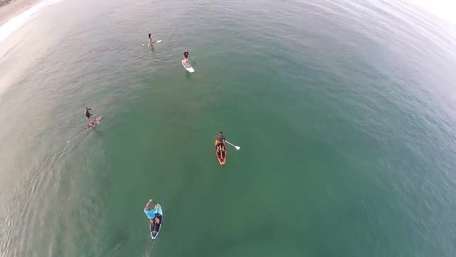 Сърфисти сърфират в близост до акули