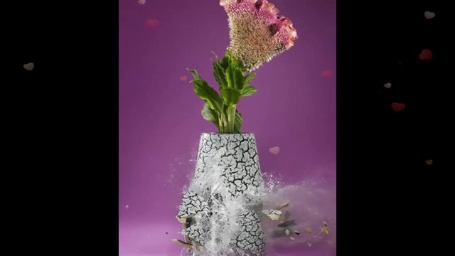 Цвете във вазата... ...(music Ernesto Cortazar)... ...