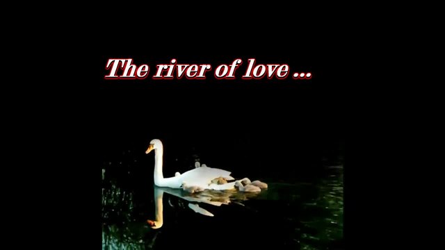 The river of love ... ...