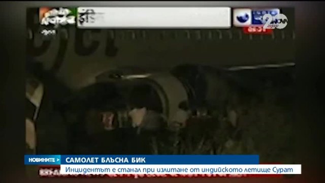 Самолет Боинг блъсна биг и катастрофира ....Бика пасял на летището в Индия