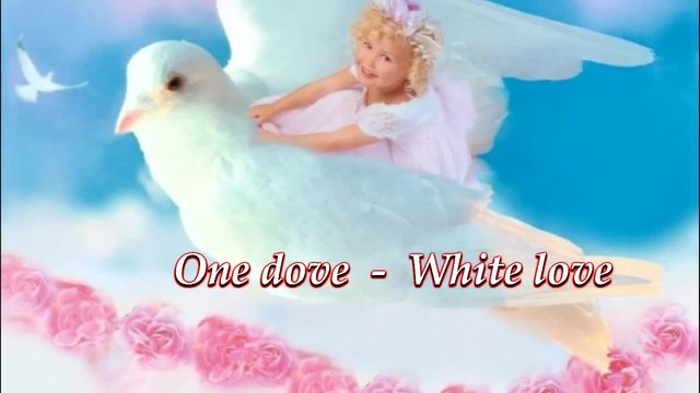 One dove - White love ...