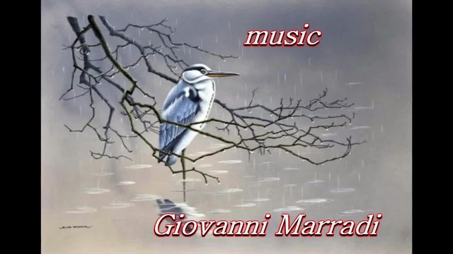 В света на птиците ... (artist Jan Weenink) ... (music Giovanni Marradi) ...