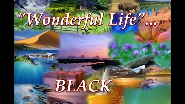 &quot;Wonderful Life&quot; ... ...(BLACK) ... ...