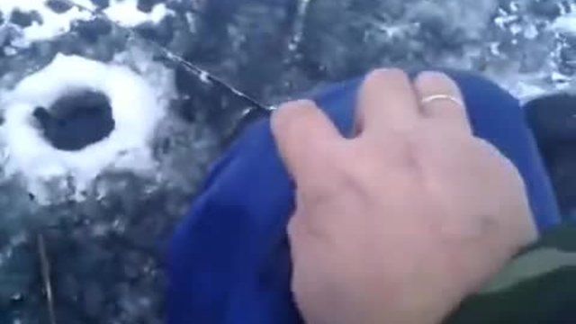 Нахална норка отмъква улова на рибар пред очите му