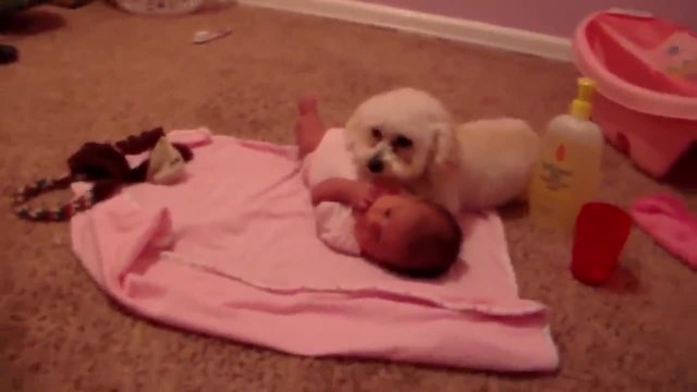Куче защитава бебе от прахосмукачка