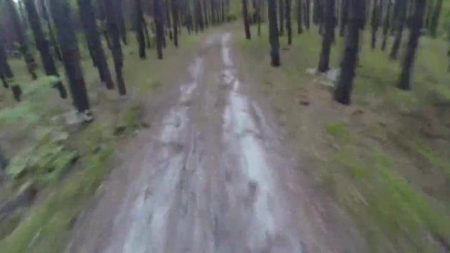 Мечка напада велосипедист в гората
