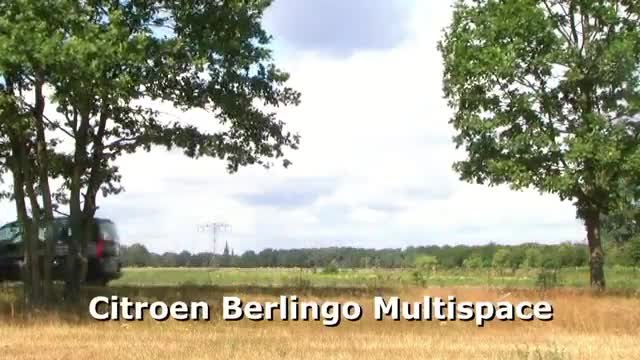 New Citroen Berlingo Multispace 2010