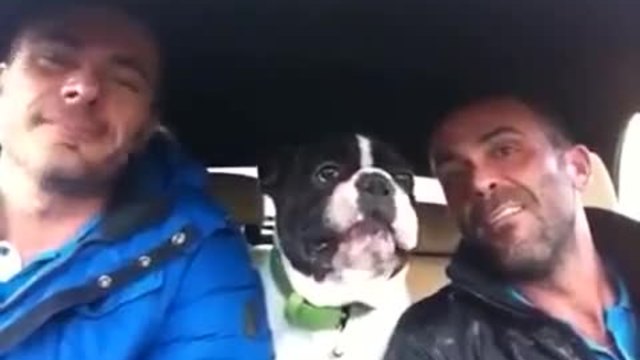Куче пее заедно с двама човека!
