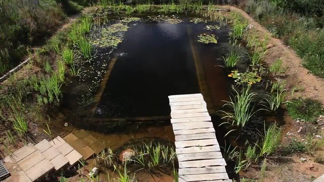 Вие бихте ли плували в такъв басейн?
