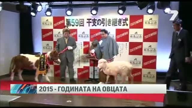 2015-та година – година на овцата