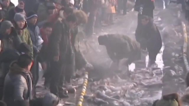 Хиляди хора ловят риба в ледените води на Северен Китай, езеро Чаган